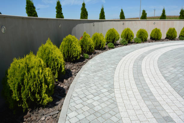 Best Residential Driveway Paver Services  in Oakleaf Plantation, FL